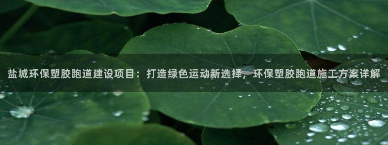红足1一世红：盐城环保塑胶跑道建设项目：打造绿色运动新选择，环保塑胶跑道施工方案详解