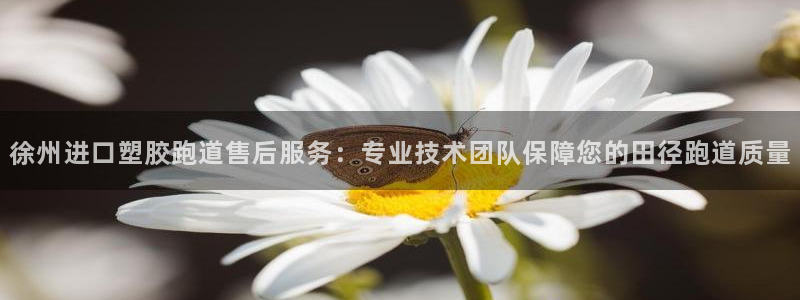 红足一1世皇冠：徐州进口塑胶跑道售后服务：专业技术团队保障您的田径跑道质量