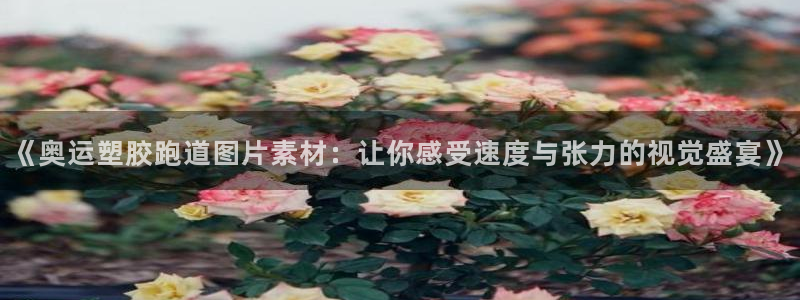 红足一1世手机皇冠：《奥运塑胶跑道图片素材：让你感受速度与张力的视觉盛宴》