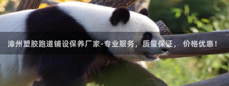 红足一一世足球网开奖记录