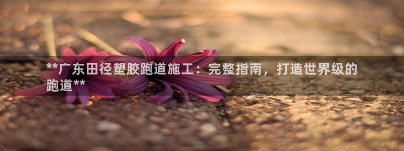 红足一1世：**广东田径塑胶跑道施工：完整指南，打造世界级的
跑道**