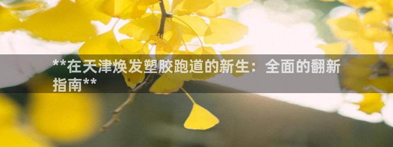新2足球平台出租网站：**在天津焕发塑胶跑道的新生：全面的翻新
指南**