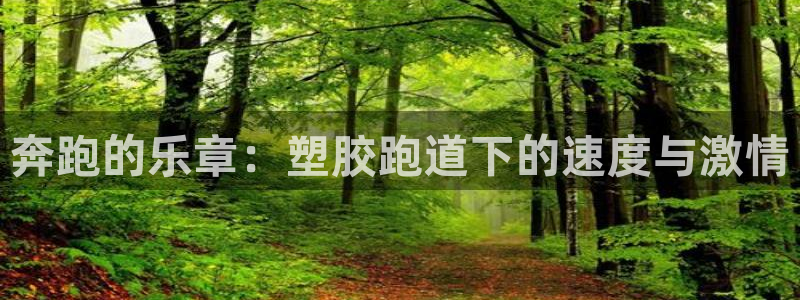 红足1世1站2站管理网：奔跑的乐章：塑胶跑道下的速度与激情