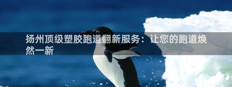 44814红足：扬州顶级塑胶跑道翻新服务：让您的跑道焕
然一新
