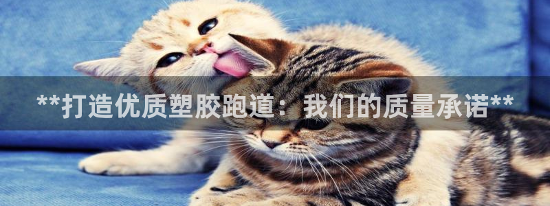 红足一比分网：**打造优质塑胶跑道：我们的质量承诺**