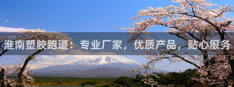 红足一1世皇冠地址：淮南塑胶跑道：专业厂家，优质产品，贴心服务