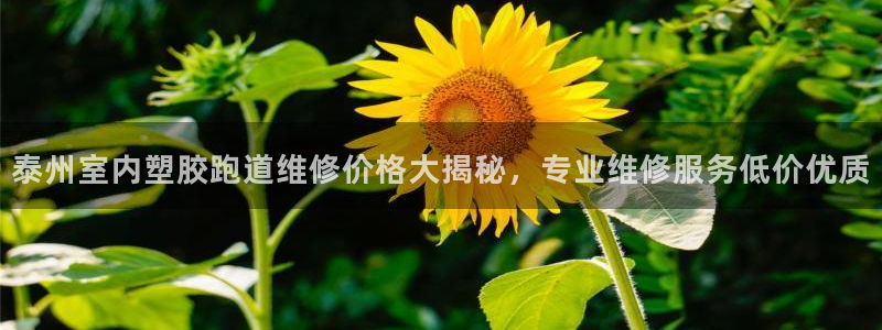 红足1一世：泰州室内塑胶跑道维修价格大揭秘，专业维修服务低价优质