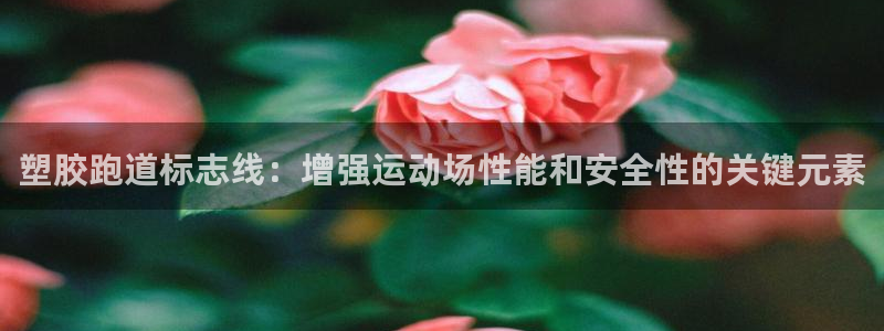 777814红·足一世比分：塑胶跑道标志线：增强运动场性能和安全性的关键元素