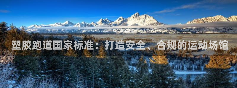 红足一1世比分： 塑胶跑道国家标准：打造安全、合规的运动场馆