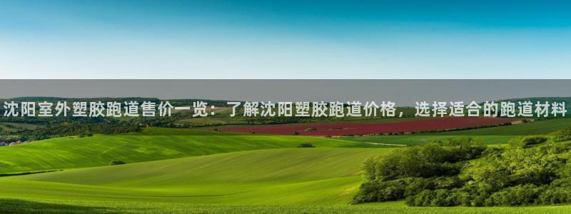 红足1一世：沈阳室外塑胶跑道售价一览：了解沈阳塑胶跑道价格，选择适合的跑道材料
