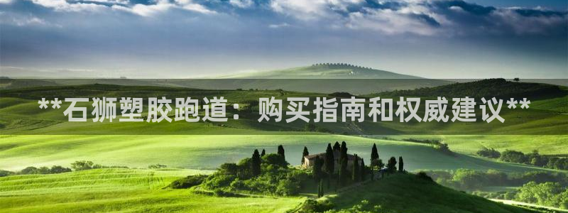 666814红·足一世比分：**石狮塑胶跑道：购买指南和权威建议**
