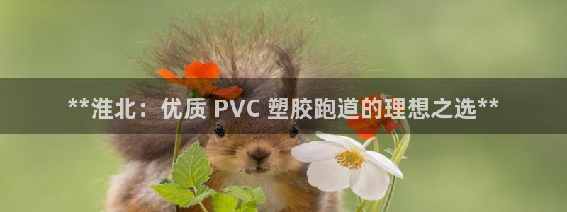 红足1一世开奖版：**淮北：优质 PVC 塑胶跑道的理想之选**