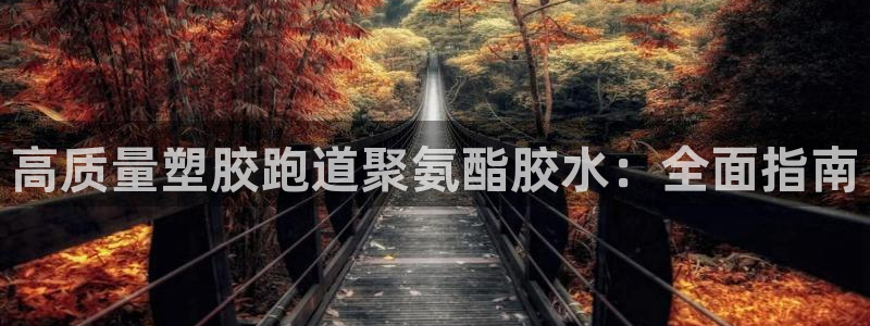 红足一1世开奖记录：高质量塑胶跑道聚氨酯胶水：全面指南