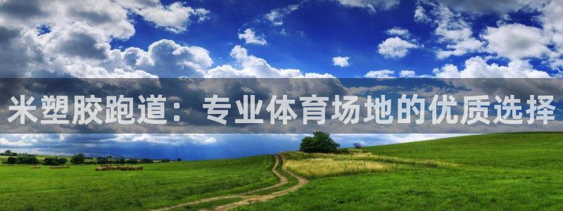 百度红足一1使用说明：米塑胶跑道：专业体育场地的优质选择