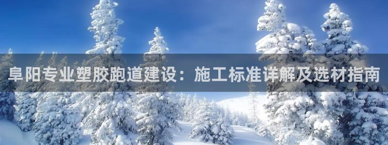66814红足：阜阳专业塑胶跑道建设：施工标准详解及选材指南