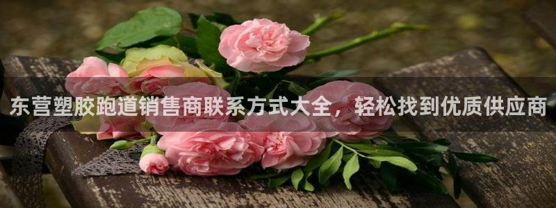 红姐现场直播开奖记录：东营塑胶跑道销售商联系方式大全，轻松找到优质供应商