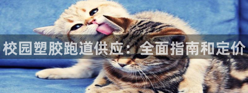 4633333开奖结果4176一点红：校园塑胶跑道供应：全面指南和定价