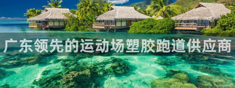 55814红足1世：广东领先的运动场塑胶跑道供应商