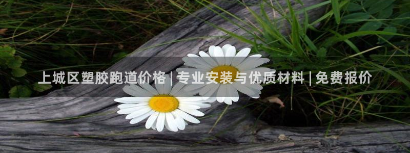 红足一球：上城区塑胶跑道价格 | 专业安装与优质材料 | 免费报价