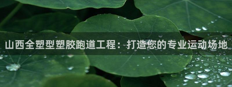 红足一1世手机版赛果：山西全塑型塑胶跑道工程：打造您的专业运动场地