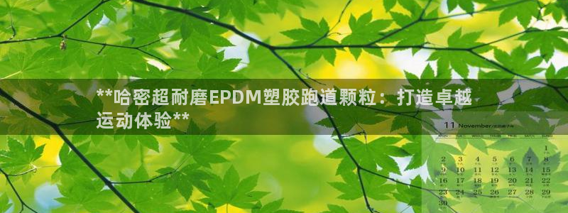 红足1世1站2站管理网：**哈密超耐磨EPDM塑胶跑道颗粒：打造卓越
运动体验**
