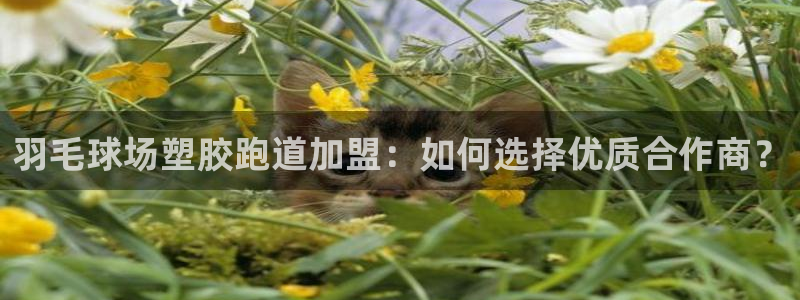 红足一：羽毛球场塑胶跑道加盟：如何选择优质合作商？