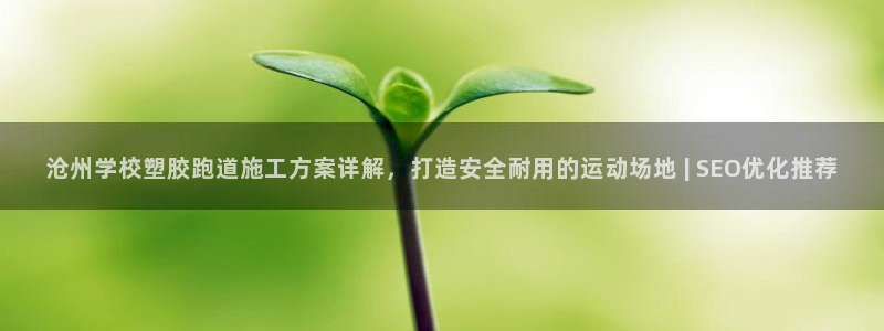 红足一1世手机版新皇冠：沧州学校塑胶跑道施工方案详解，打造安全耐用的运动场地 | SEO优化推荐