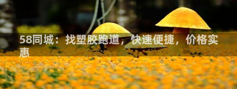 红足l一世开奖现场62ty：58同城：找塑胶跑道，快速便捷，价格实
惠