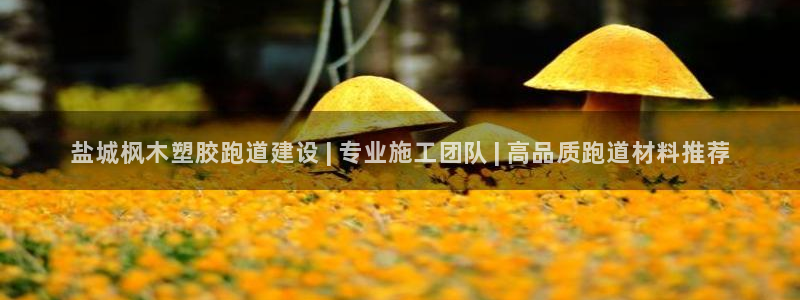 77814红足1世：盐城枫木塑胶跑道建设 | 专业施工团队 | 高品质跑道材料推荐