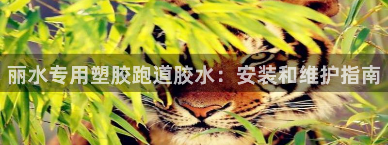 百度红足一1使用说明：丽水专用塑胶跑道胶水：安装和维护指南
