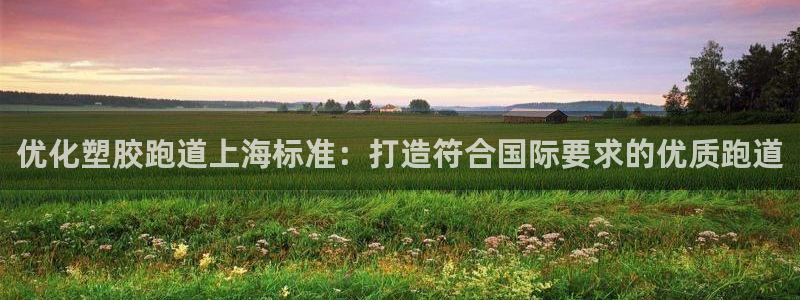 4633333开奖结果4176一点红：优化塑胶跑道上海标准：打造符合国际要求的优质跑道
