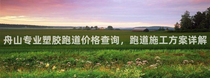 红足一1世66814新宝：舟山专业塑胶跑道价格查询，跑道施工方案详解