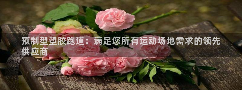 44814红足：预制型塑胶跑道：满足您所有运动场地需求的领先
供应商
