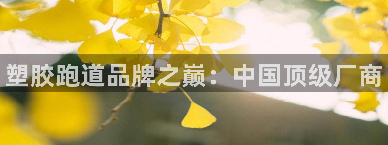 新2足球平台出租网站：塑胶跑道品牌之巅：中国顶级厂商