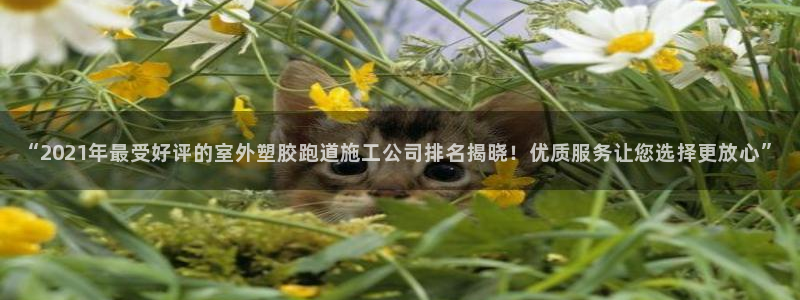 红足一1世66814新宝：“2021年最受好评的室外塑胶跑道施工公司排名揭晓！优质服务让您选择更放心”