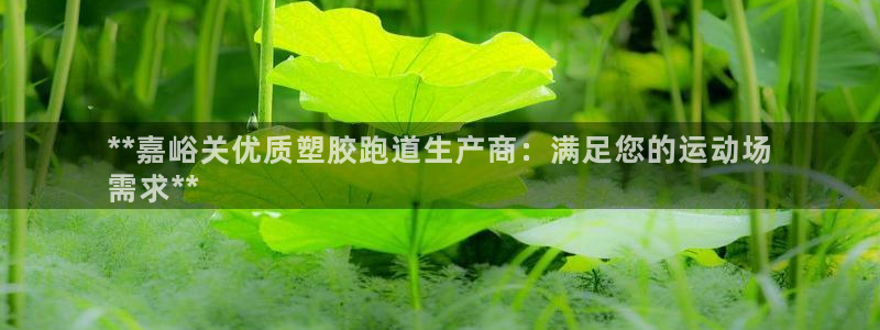 红足1一世红：**嘉峪关优质塑胶跑道生产商：满足您的运动场
需求**