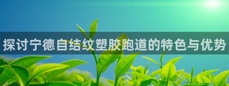 红世一足球比分：探讨宁德自结纹塑胶跑道的特色与优势