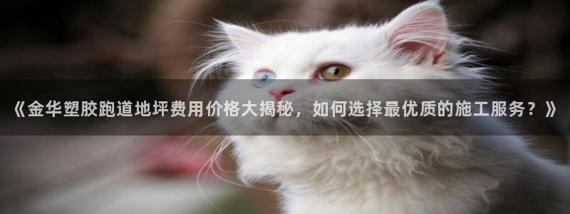 77814红足1世：《金华塑胶跑道地坪费用价格大揭秘，如何选择最优质的施工服务？》