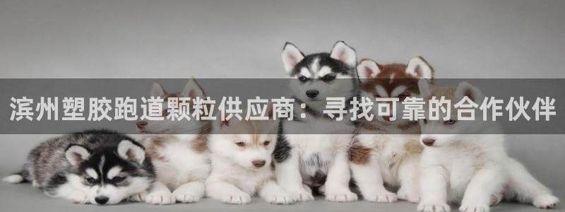 红足一1世比分网：滨州塑胶跑道颗粒供应商：寻找可靠的合作伙伴