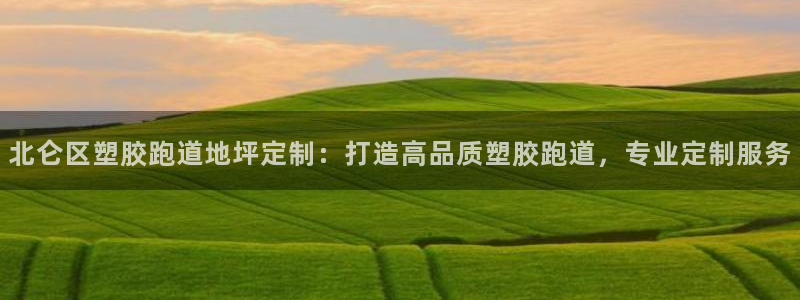 新2足球平台出租网站：北仑区塑胶跑道地坪定制：打造高品质塑胶跑道，专业定制服务